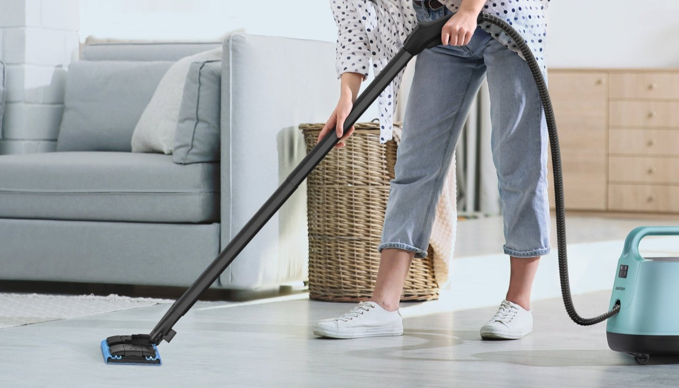 Steam Cleaner
