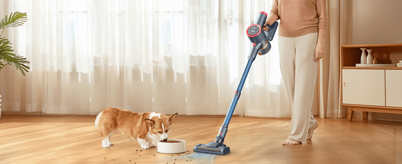 Handheld Vacuum