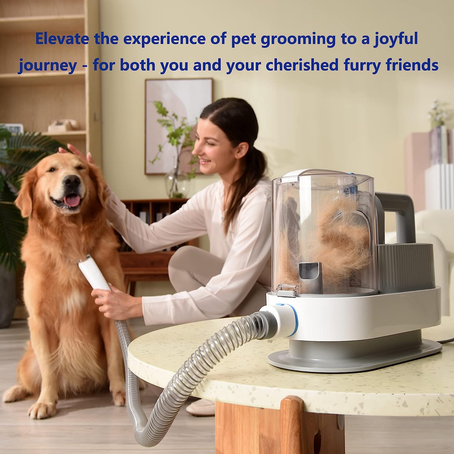 pet grooming