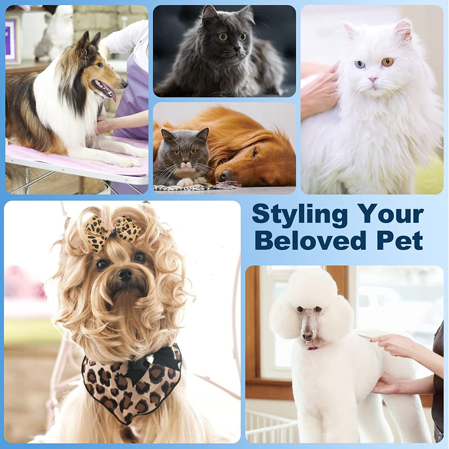 dog clippers