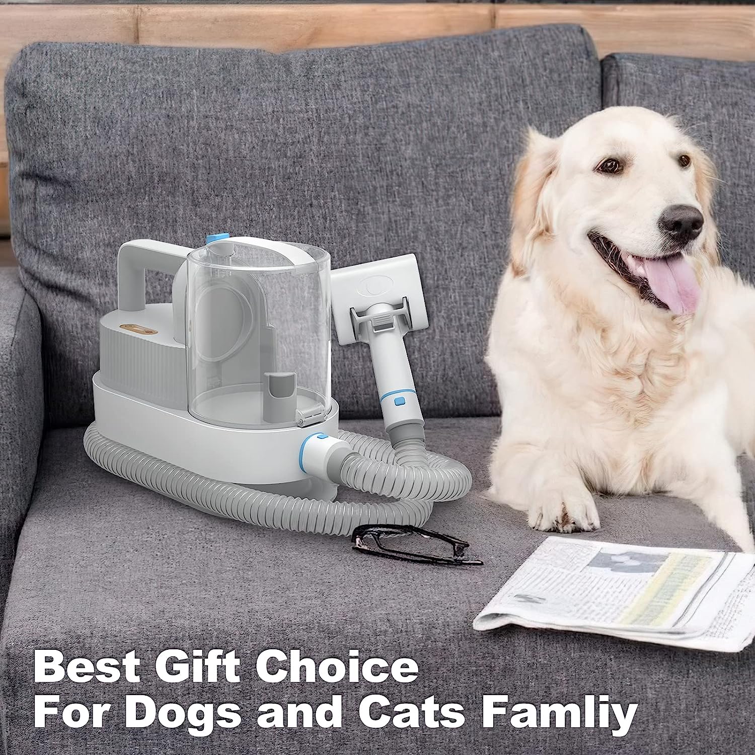 pet grooming