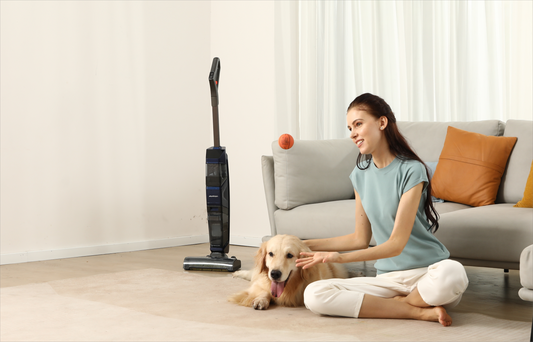 The Best Wet Dry Vacuums/Mop for Any Mess